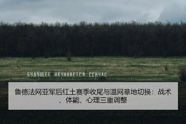 鲁德法网亚军后红土赛季收尾与温网草地切换：战术、体能、心理三重调整