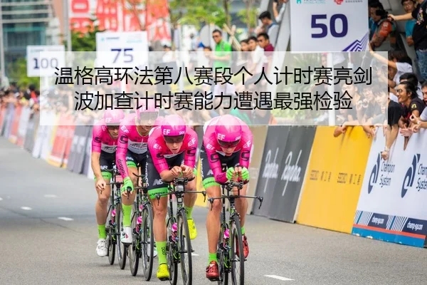 温格高环法第八赛段个人计时赛亮剑 波加查计时赛能力遭遇最强检验