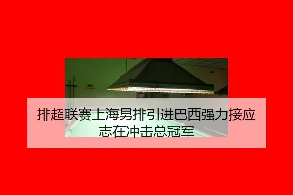 排超联赛上海男排引进巴西强力接应 志在冲击总冠军